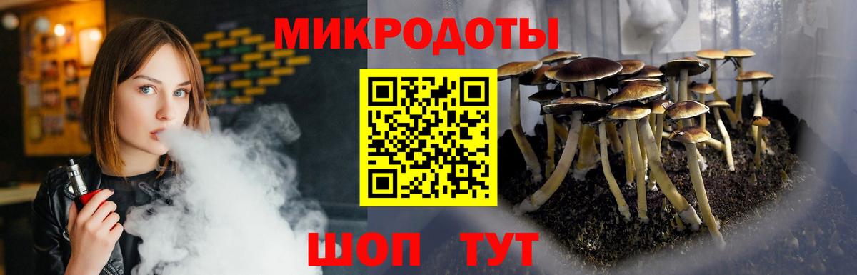 Чистополь  Галлюциногенные грибы GOLDEN TEACHER  Псилоцибиновые грибы Magic Shrooms  Вход с VPN 